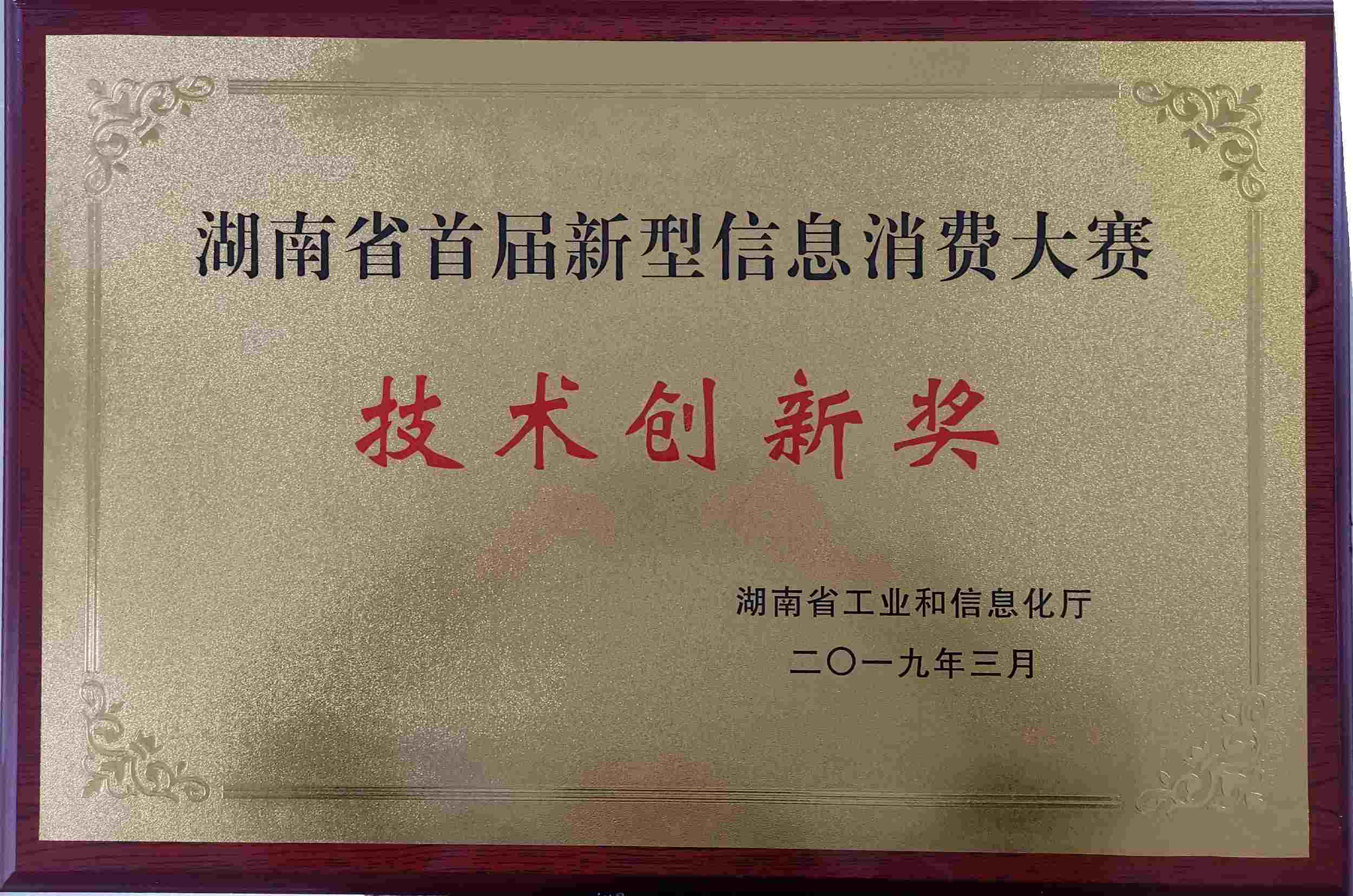 湖南省新型信息消费大赛