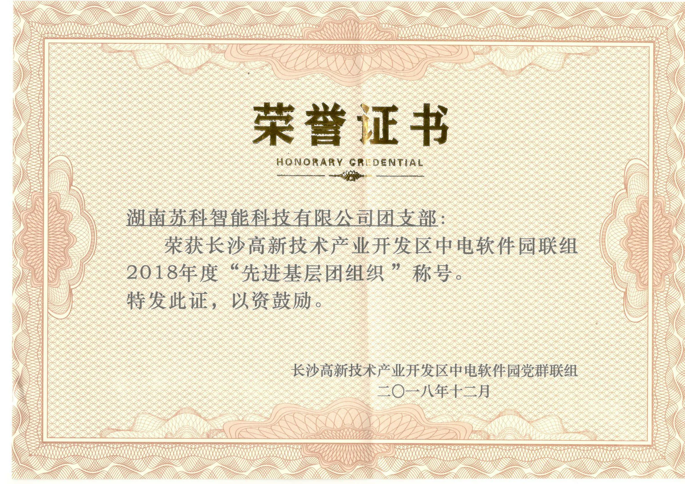 先进基层团组织