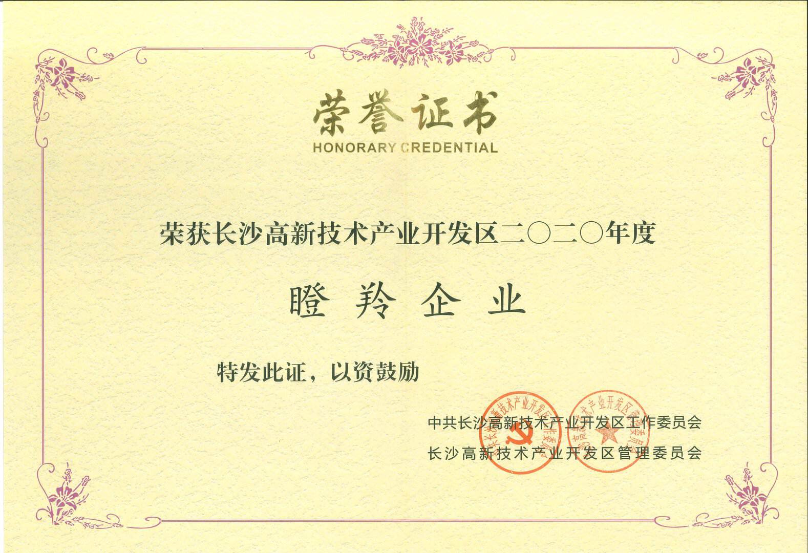 瞪羚企业