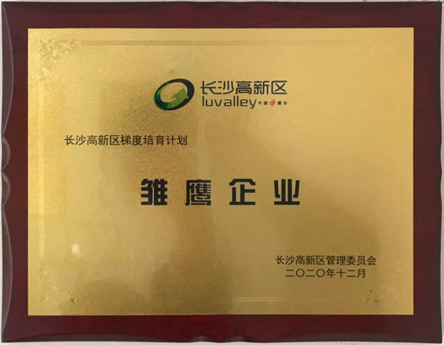 雏鹰企业